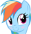 RDshy :RDshy:
