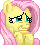 FlutterShyShy :shyshy: