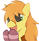 braesocks :braesocks: