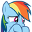 RDshy2 :RDshy2: