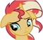sunset :sunset14: