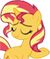 sunset :sunset28: